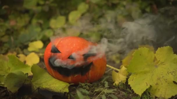 Halloween Dýně Kouření Jack Lantern Leží Zemi Svátcích — Stock video