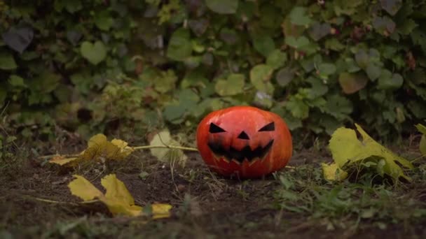 Egy Halloween Tök Fekszik Földön Feldarabolták Egy Fejszével Tiltakozom Ünnep — Stock videók