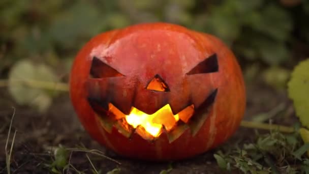 Calabaza Halloween Arde Con Fuego Real Repente Fuego Apaga Jack — Vídeo de stock