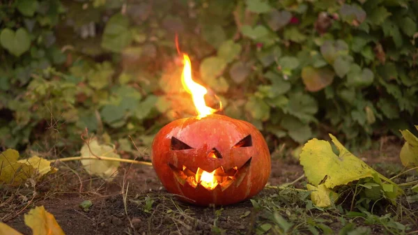 Calabaza de Halloween quema con fuego real. Jack Lantern yace en el suelo en las vacaciones. — Foto de Stock