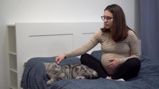 A young pregnant woman with glasses is stroking a cat. A girl in a bedroom on a bed with a British cat. — 비디오