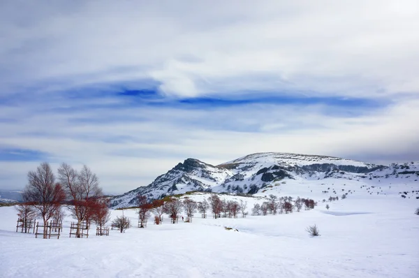 Paisagem inverno — Fotografia de Stock