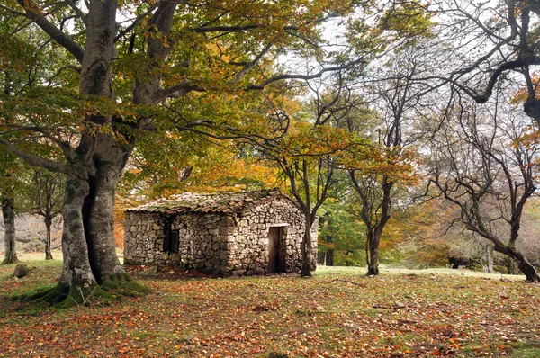 Stone cabin in autumn forest — Stock Photo, Image