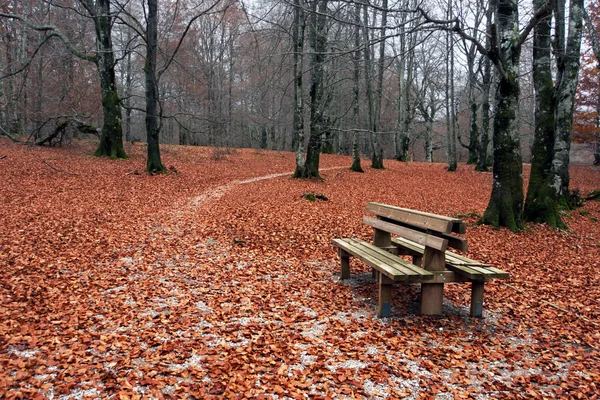 Panca in autunno — Foto Stock