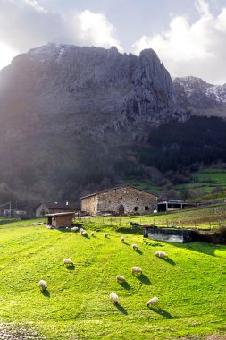 A typical basque country farmhouse with sheep in Atxondo valley clipart