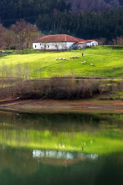 Landschaft mit einem Schäfer, einigen Schafen und einem Bauernhaus — Stockfoto