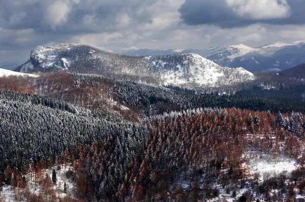 Морозний зимовий пейзаж з горами — стокове фото