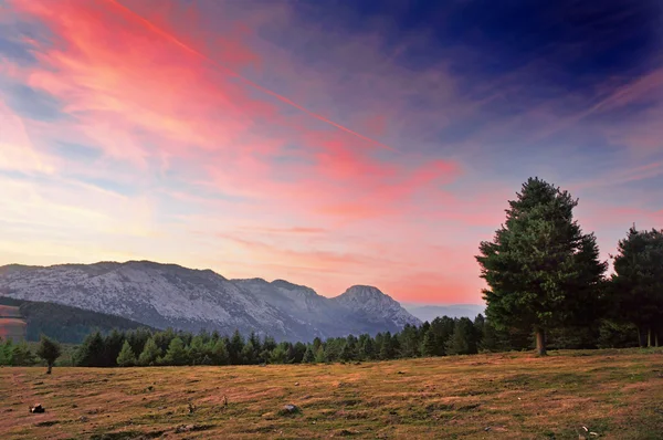 Montagne urkiola al crepuscolo con alcuni alberi — Foto Stock