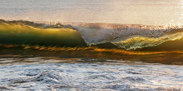 Wave at sunset — Stock Photo, Image