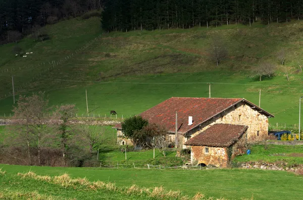 Tipica casa di campagna basca — Foto Stock