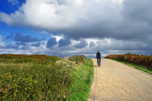 Homme faisant du vélo dans un parc — Photo