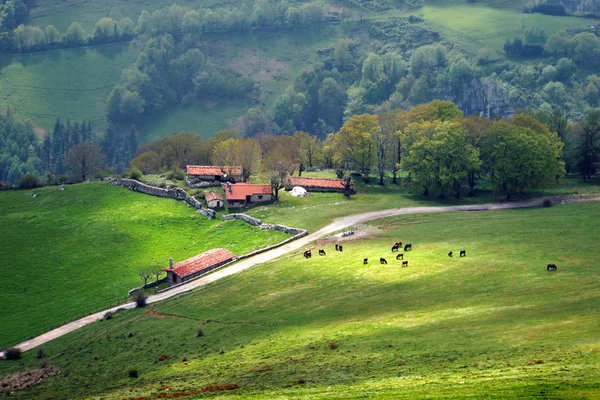 Фермерские дома в горах с лошадьми — стоковое фото