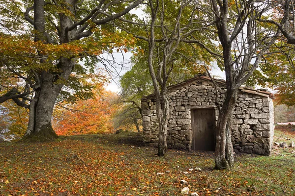 在秋天的森林中的石头小屋 — 图库照片