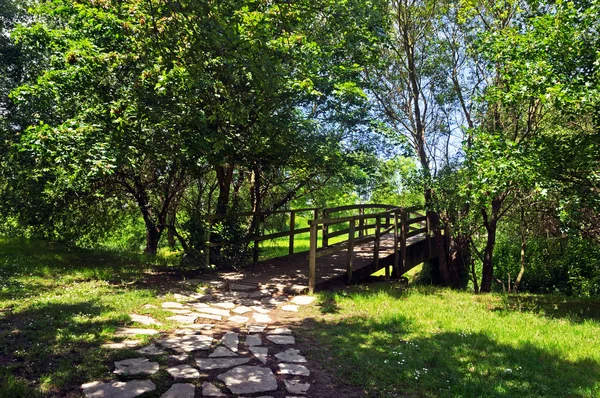 Parque soleado con un puente de madera — Foto de Stock