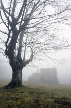 shelter and a tree with fog clipart