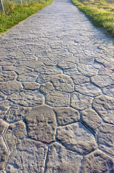 Caminho com pedras de pavimentação — Fotografia de Stock