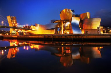 Guggenheim Bilbao Museum at night clipart
