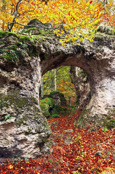 Natural hole on rock in autumn forest — Stock Photo, Image