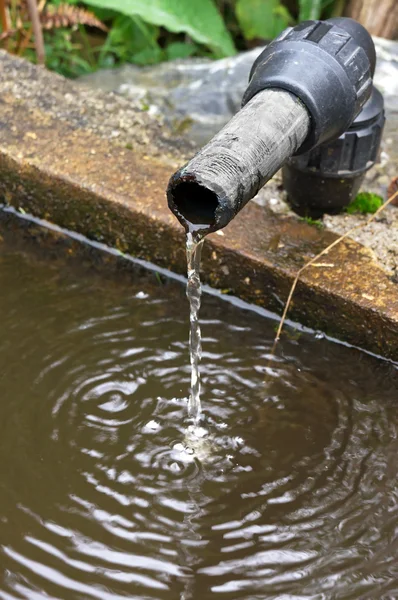 Water dropping in a drinking trough — Stock Photo, Image