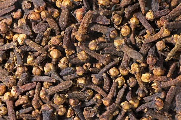 Stock image background of dried clove spice