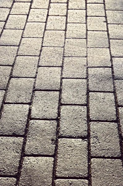 Path with paving stones — Stock Photo, Image