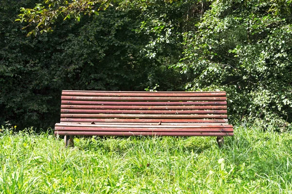 Träbänk i parken på gräs — Stockfoto