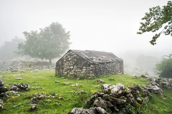 Steinhaus im Grünen mit Nebel — Stockfoto