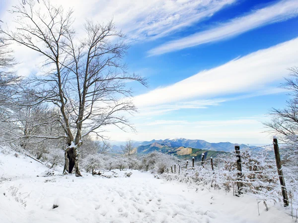 Trilha com pegadas na paisagem de inverno com neve — Fotografia de Stock