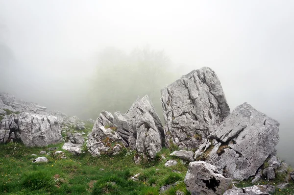 Boulder and big rocks in foggy forest — Stock Photo, Image
