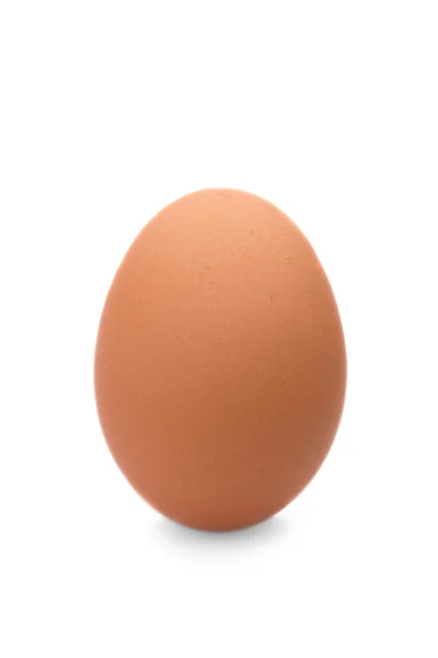 Huevo sobre fondo blanco aislado — Foto de Stock