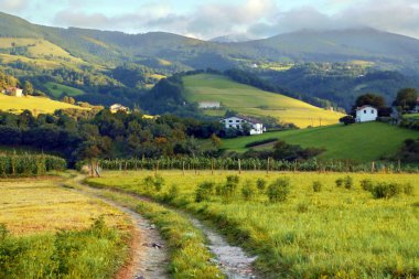 basque country village with fields and orchards clipart