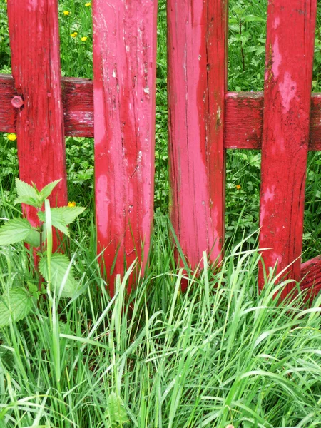 Wooden red gate on grass — Stock Photo, Image