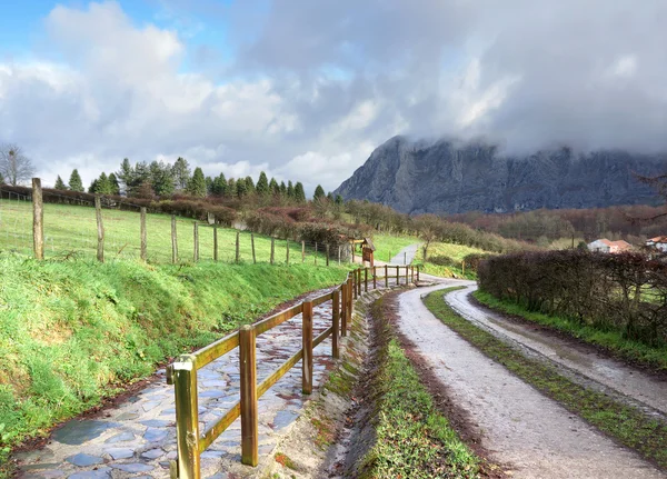 Path in the nature — ストック写真