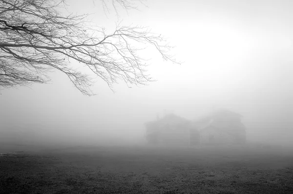 Таинственный дом в лесу с туманом — стоковое фото