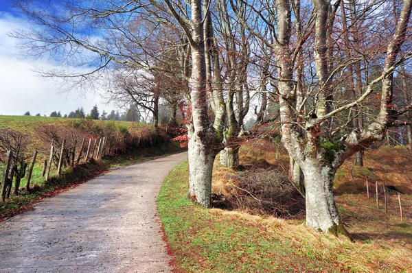 Path in Urkiola Natural Park — Stock Photo, Image