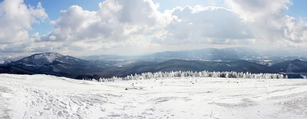 Панорама зимнего и снежного ландшафта — стоковое фото