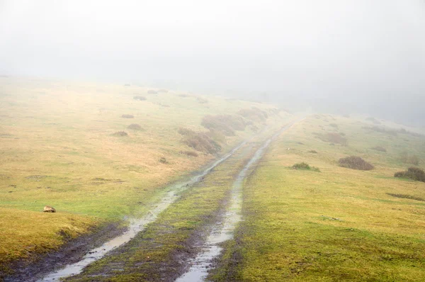Camino con niebla — Foto de Stock