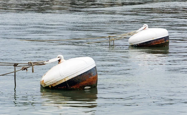 Rusty buoys in port water — Stock Photo, Image