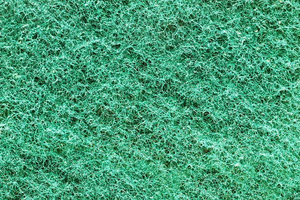 Primer plano de la almohadilla de limpieza verde — Foto de Stock