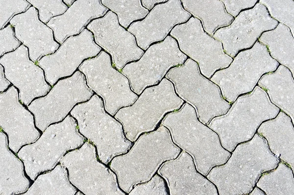 Pavimentación de ladrillos de piedra en el suelo —  Fotos de Stock