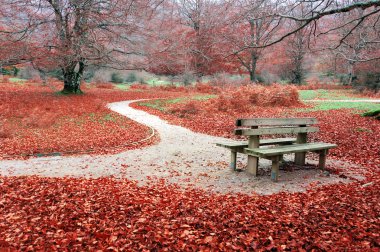 bench on autum clipart