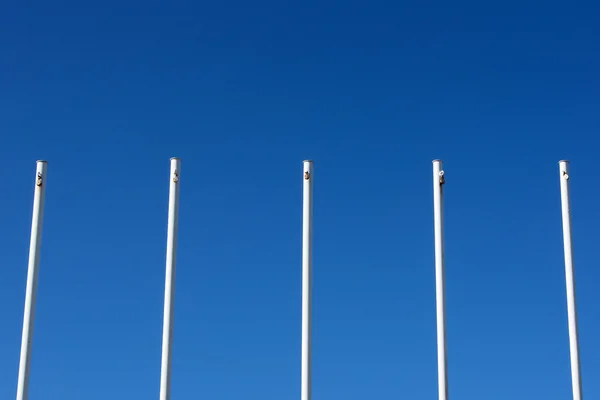 Pólos de bandeira branca vazios — Fotografia de Stock