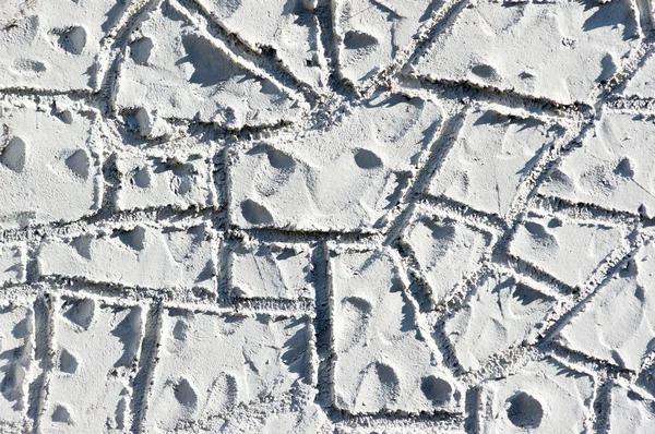 Cement textures — Stock Photo, Image