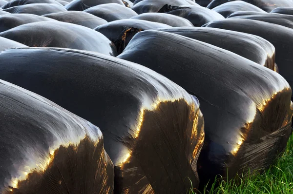 Capa de plástico preto para fardos — Fotografia de Stock