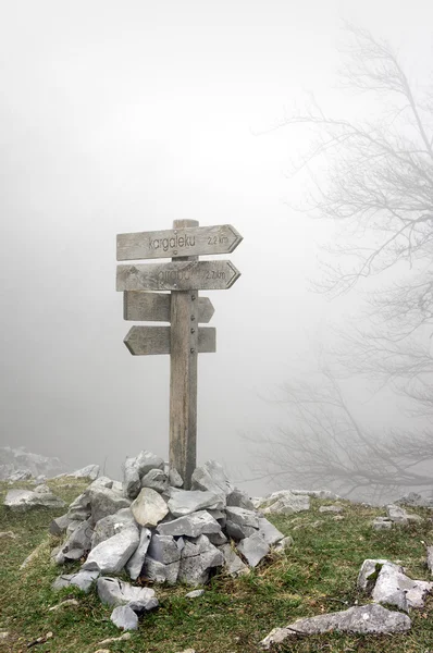 Wooden signpost in forest — Stock Photo, Image