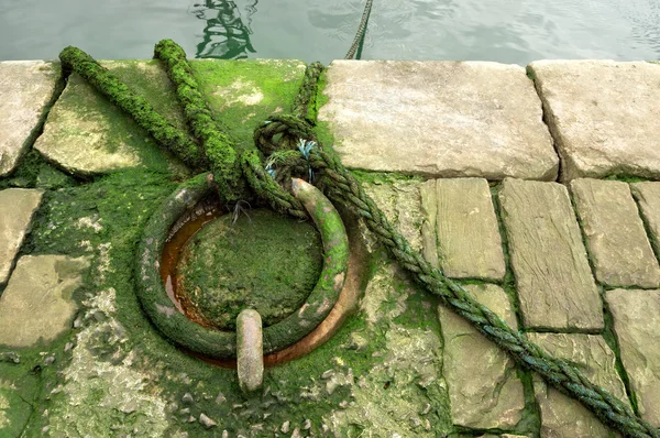 Mooring ring on dock — Stock Photo, Image