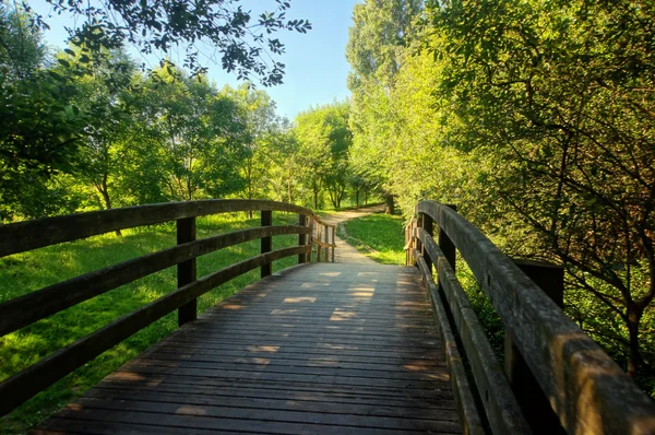 Holzbrücke im Park — Stockfoto