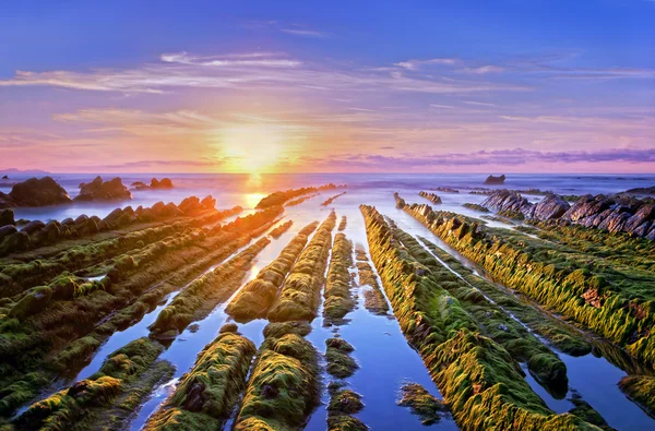 Pôr do sol na costa da barrika com rochas e musgo — Fotografia de Stock