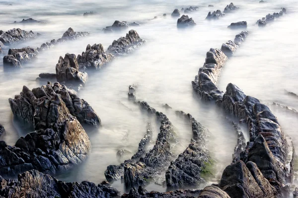 Plajda kayalar — Stok fotoğraf