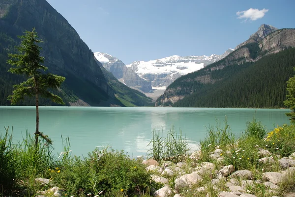 Lago Louise — Foto de Stock